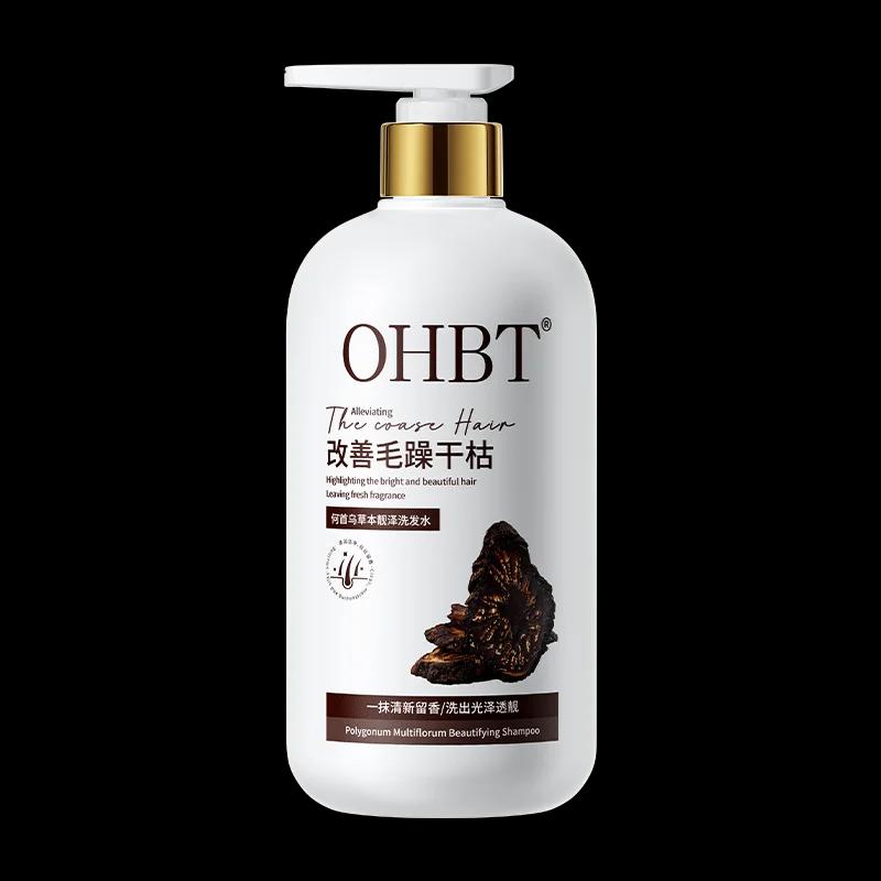 Shampooing pour salon de coiffure à base de plantes, 500 ml, qui transforme les cheveux blancs en no