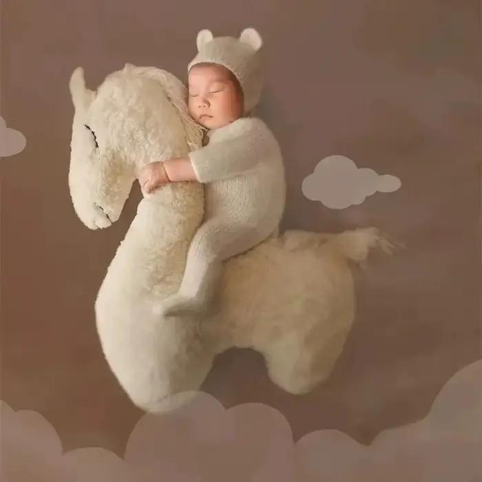 Oreiller de pose licorne pour photographie de nouveau-né, ensemble de coussin et couverture de cheval en peluche douce, accessoire de décoration d'arrière-plan de Studio Photo pour bébé