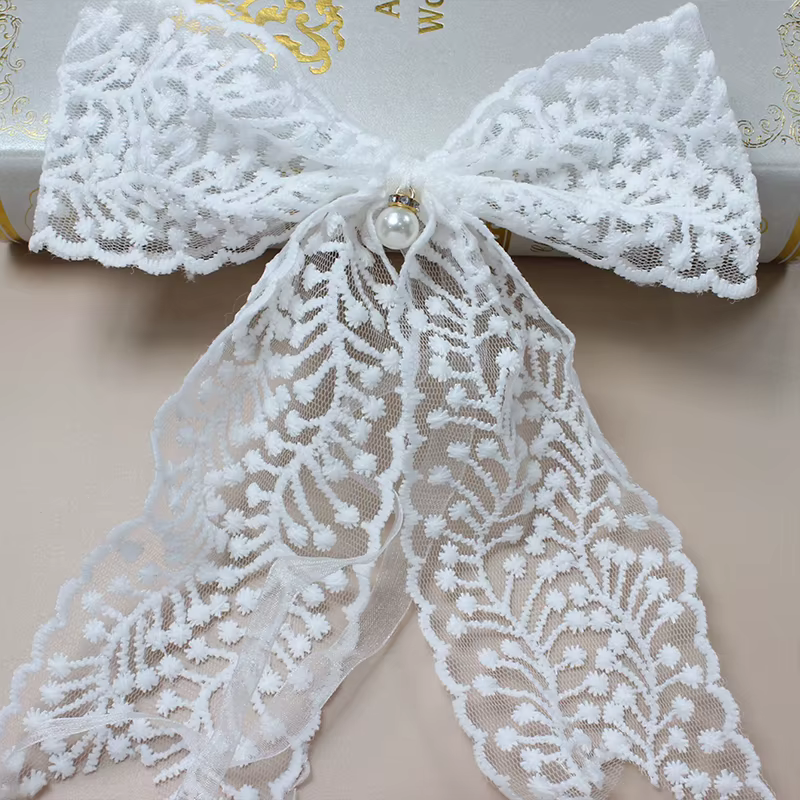 Sangles de Rideau en Dentelle avec Nministériels d, Légères et Luxueuses, Style Français, Coréen, Es