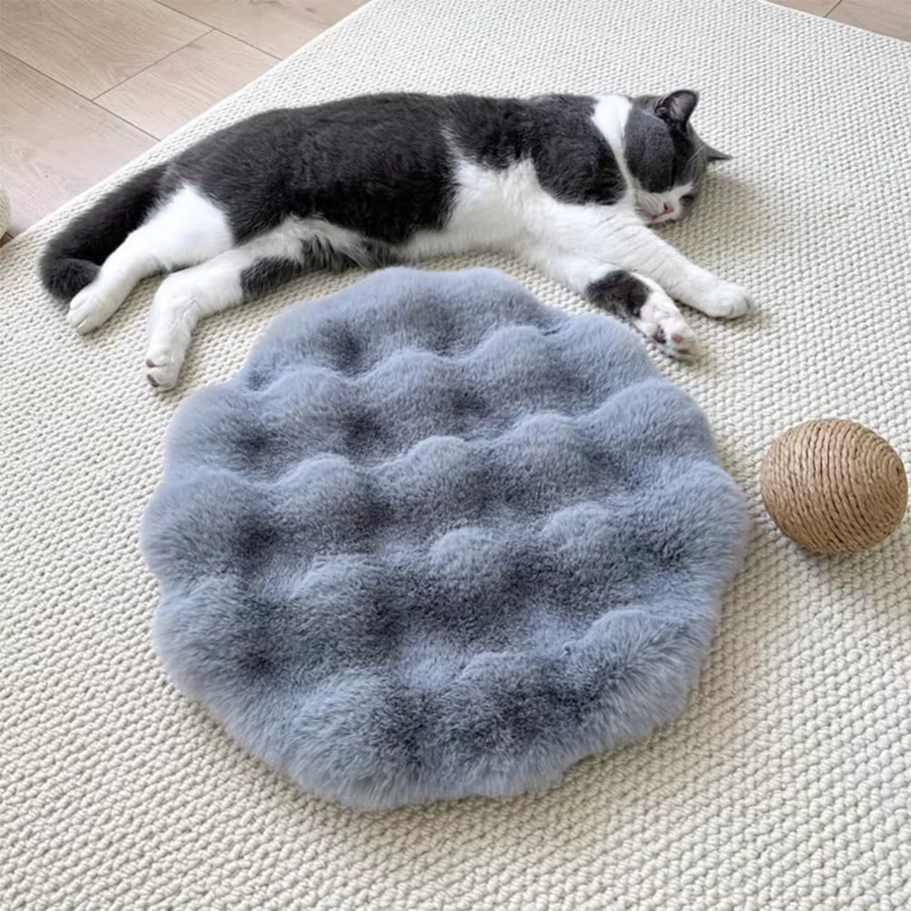 Nouveau tapis rond pour chat portable de haute qualité et durable, fond antidérapant, fonction d'iso