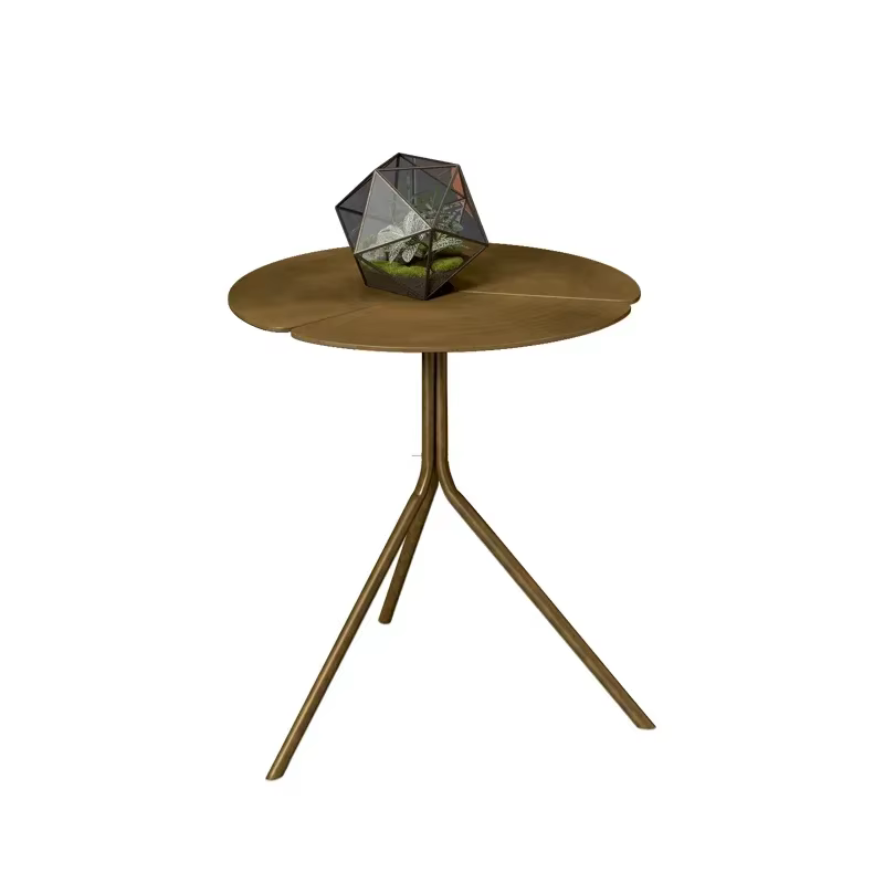 Table basse d'appoint ronde minimaliste italienne pour salon, combinaison de pétales, meubles d'angl