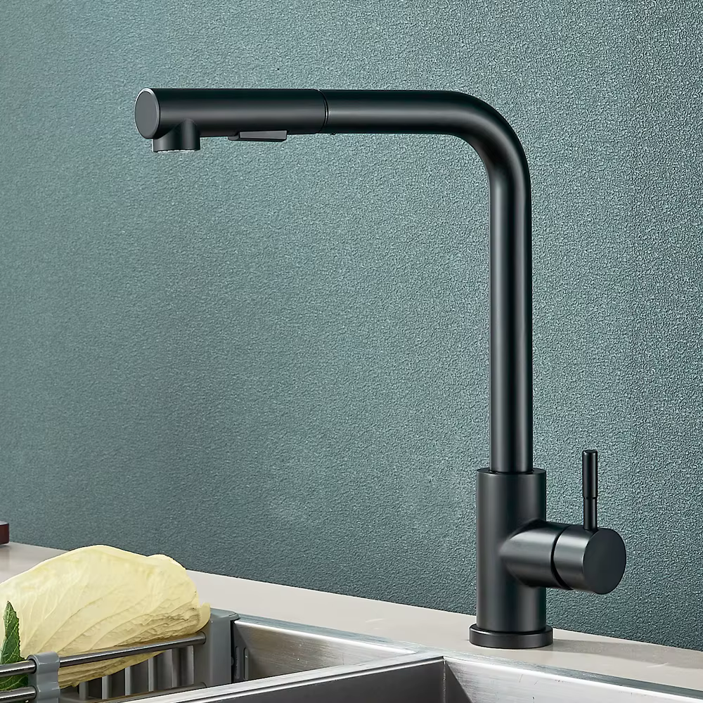 Rozin – robinet de cuisine Flexible et gastronomique, noir, extractible dans 2 sens, Rotation à 360 