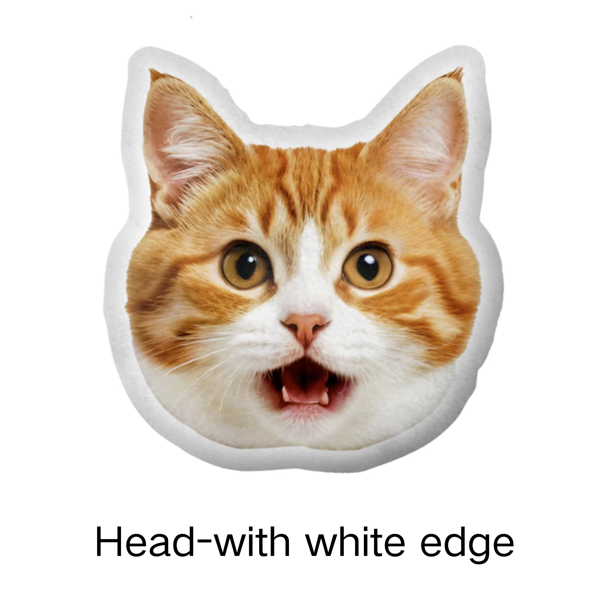 Coussin personnalisé pour animaux de compagnie, remplissage personnalisé, photo d'animaux de compagn
