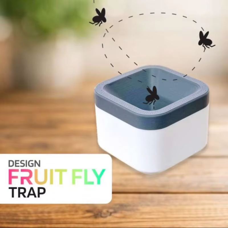 Piège à mouches des fruits pour la cuisine