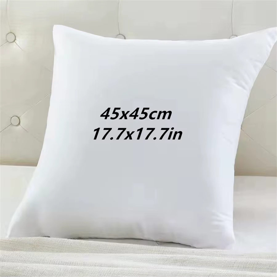 Coussin classique 45x45cm de couleur unie