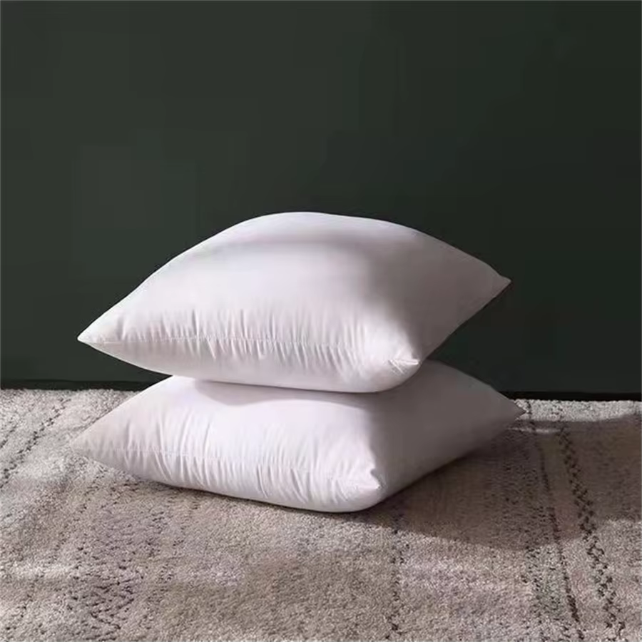 Coussin classique 45x45cm de couleur unie