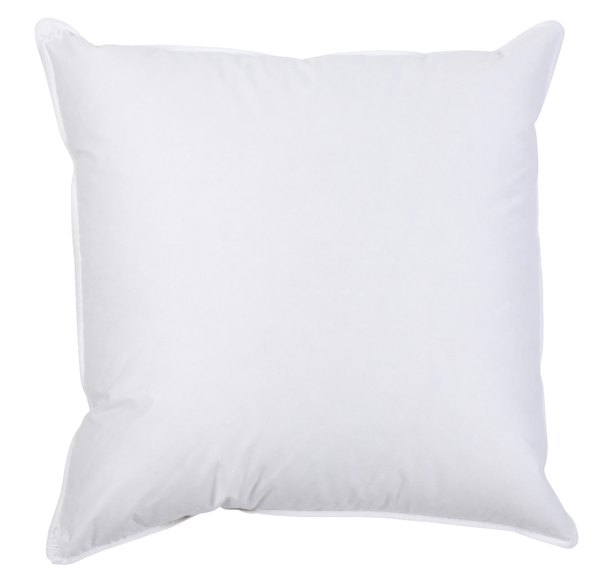 Interieur de coussin Plumes Blanc 80 x 80