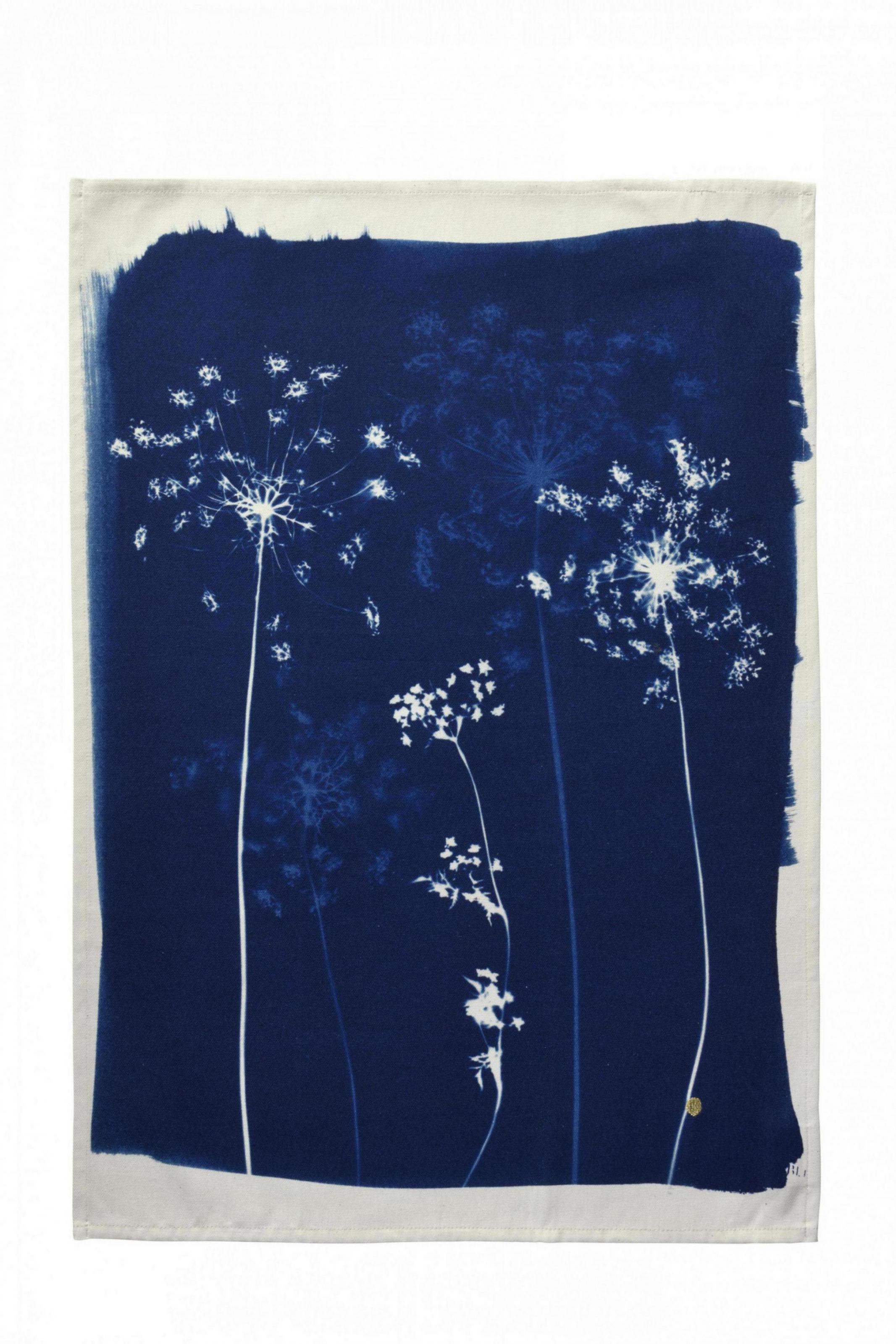 Torchon Fleurs de carotte Bleu 70 x 50