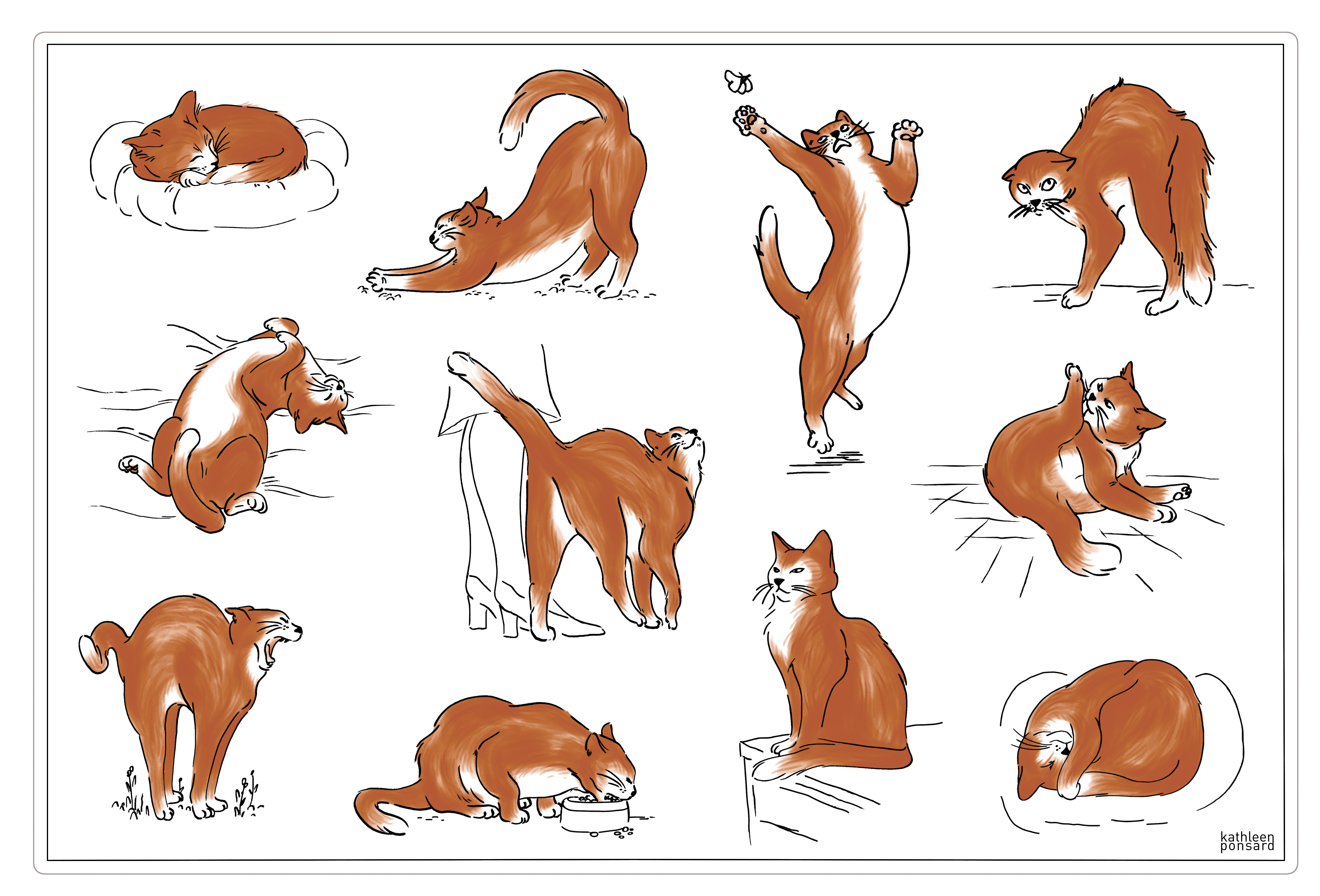 Set de table Journe du chat Assortis 30 x 45